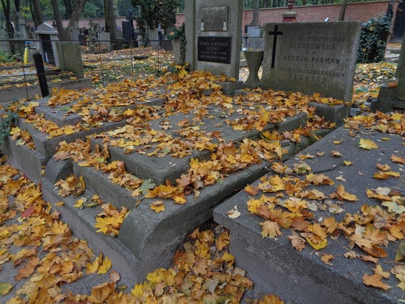 Zdjęcie grobu: Henryk Perman