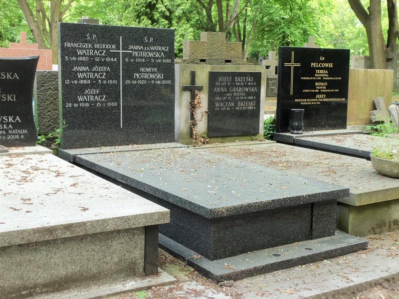 Zdjęcie grobu Henryk Piotrowski (1)