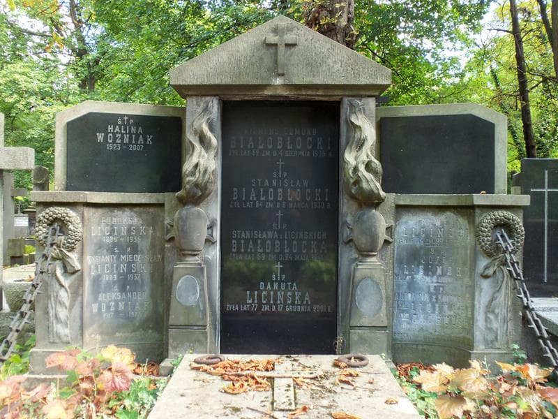 Zdjęcie grobu Klemens Edmund Białobłocki (2)