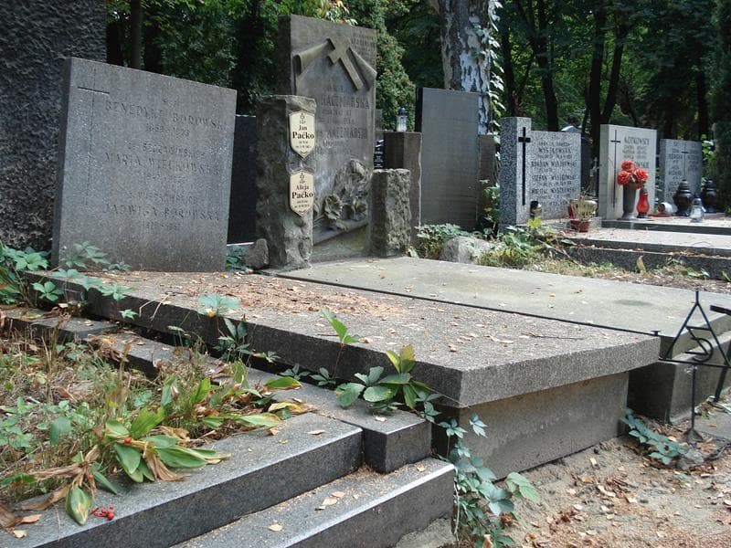 Zdjęcie grobu Jadwiga Borowska (1)