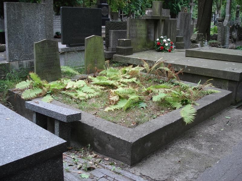 Zdjęcie grobu: Emil Janiszewski