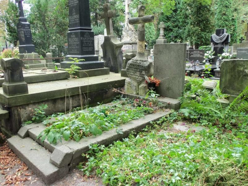 Zdjęcie grobu Maria Eger (1)