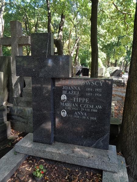 Zdjęcie grobu Anna Tippe (2)