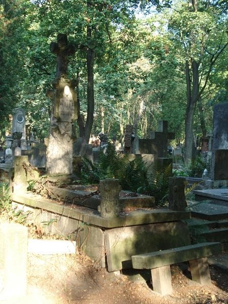 Zdjęcie grobu Tadeusz Emil Lasiuk (1)
