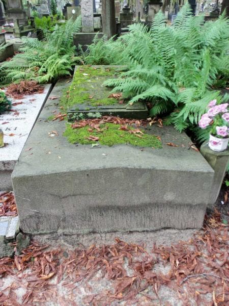 Zdjęcie grobu: Antonina Hejbowiczowa