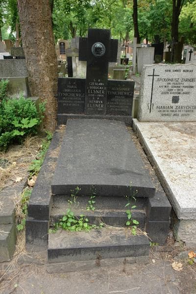 Zdjęcie grobu Aleksander Tynichiewicz (1)