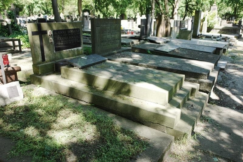 Zdjęcie grobu: Adolf Bogusz