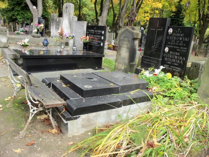 Zdjęcie grobu Zygmunt Ostrowski (1)