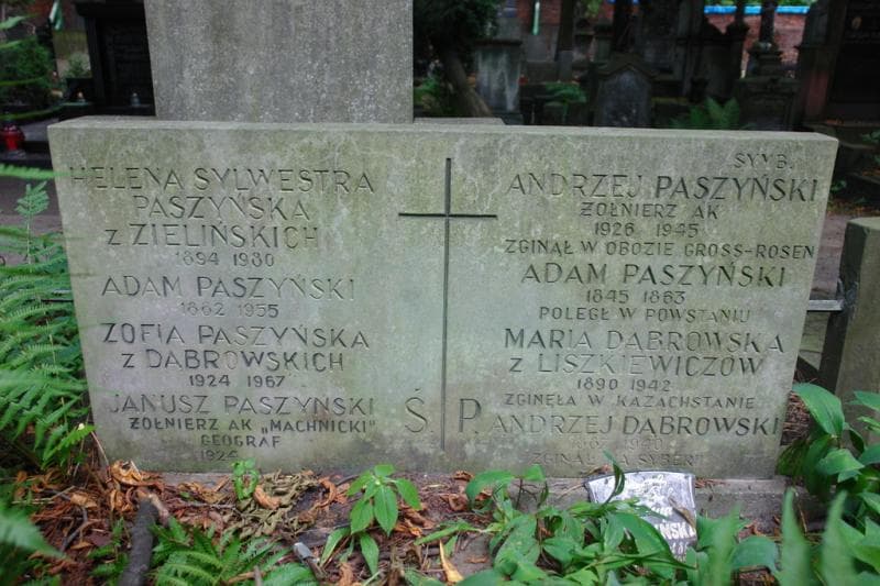 Zdjęcie grobu Andrzej Paszyński (2)