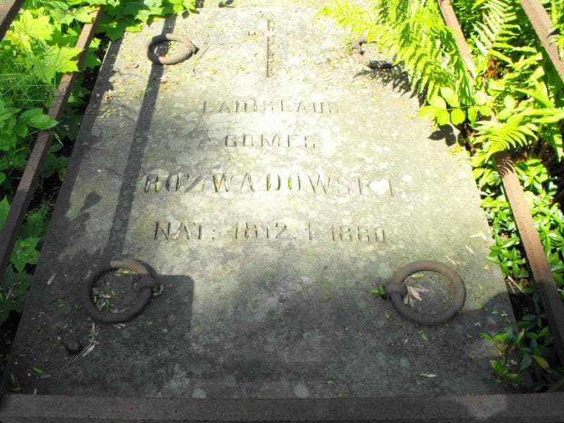 Zdjęcie grobu Ladislaus Gomes Rozwadowski (1)