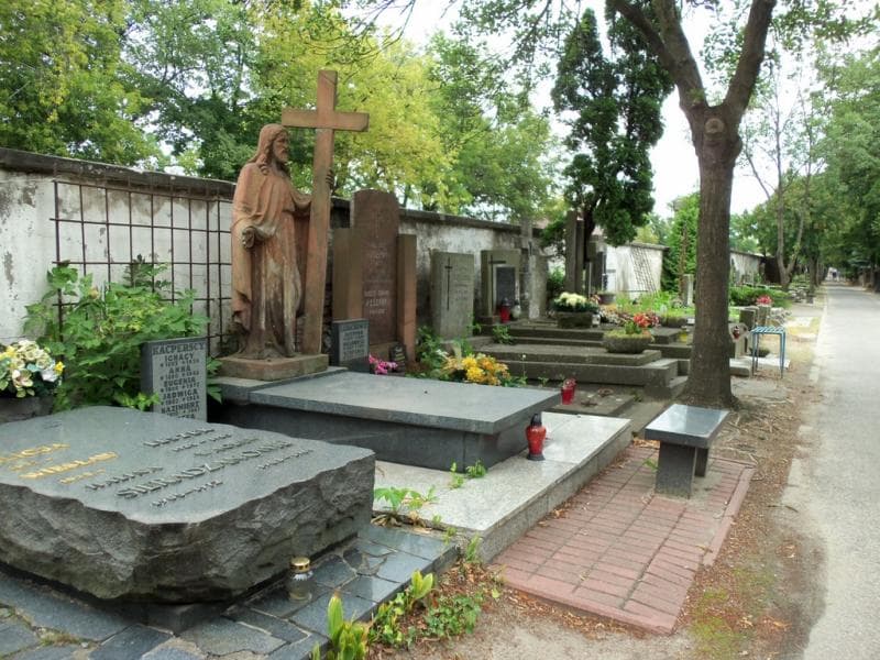 Zdjęcie grobu Eugeniusz Banach (1)