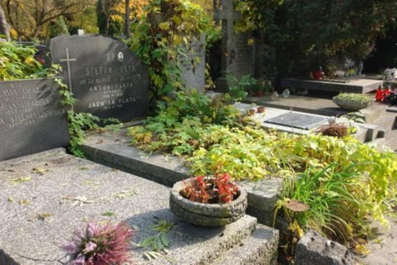 Zdjęcie grobu Antoni Plata (1)