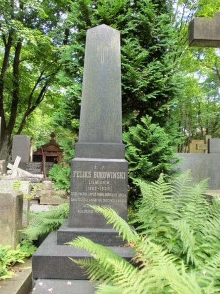 Zdjęcie grobu Feliks Bukowiński (2)