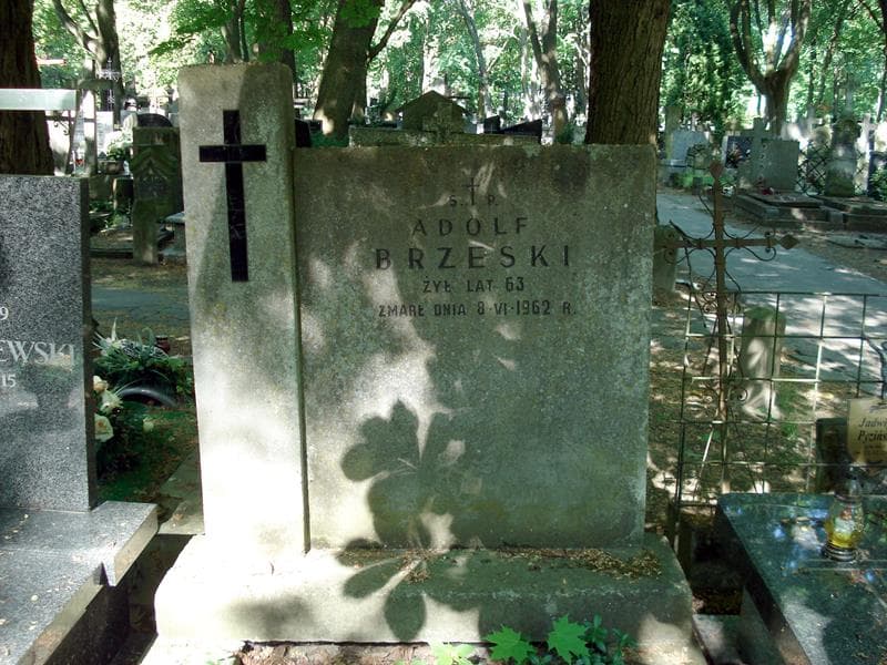Zdjęcie grobu Adolf Brzeski (1)