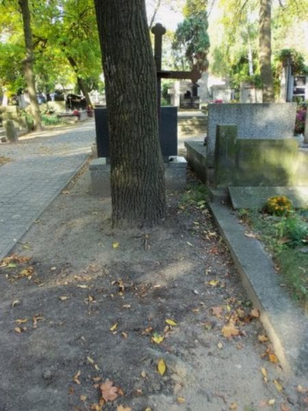 Zdjęcie grobu: Anonim
