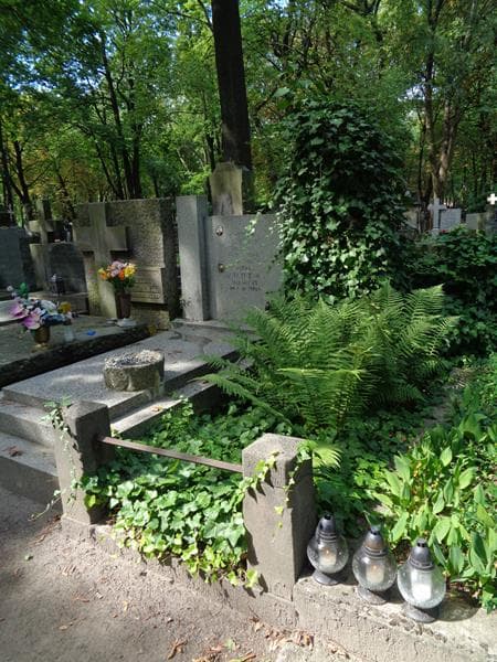Zdjęcie grobu: Edward Wolowski