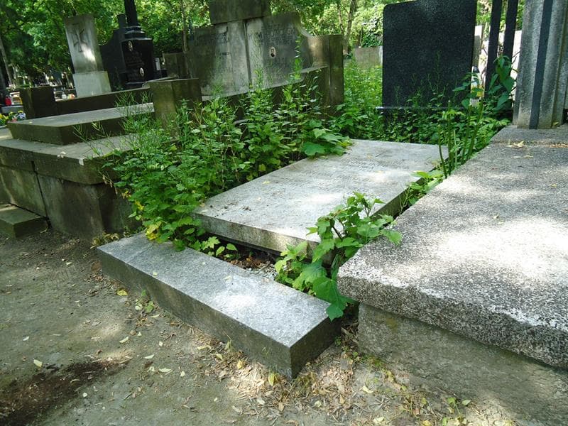 Zdjęcie grobu Teresa Rulikowska (1)