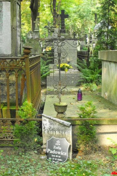 Zdjęcie grobu Stanisław Kulwiec (2)
