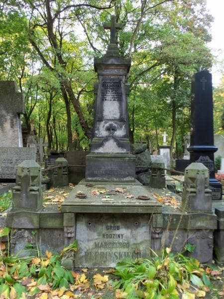 Zdjęcie grobu: Bronisław Plebiński