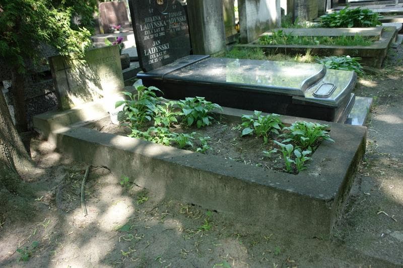 Zdjęcie grobu: Janina Kupcza