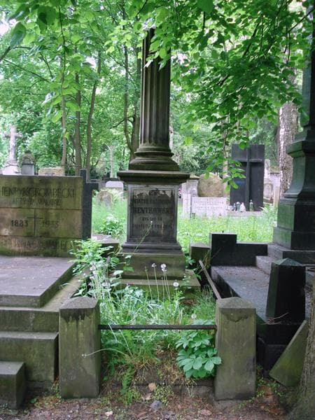 Zdjęcie grobu Wiktor Kazimierz Bentkowski (1)