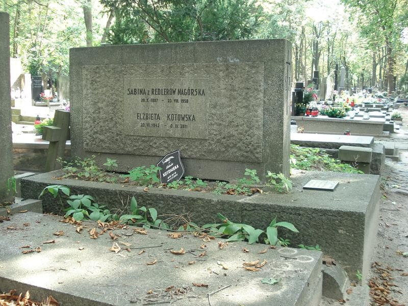 Zdjęcie grobu Jadwiga Szczepańska (1)