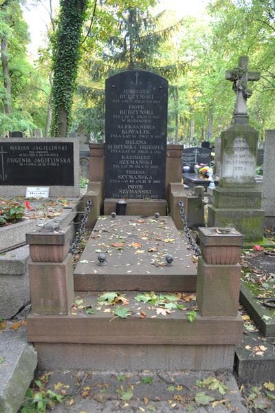 Zdjęcie grobu Helena Budzyńska Orzeszek (1)