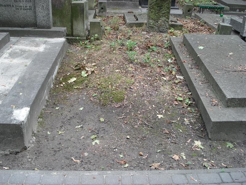Zdjęcie grobu: Pole Grobowe