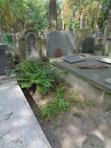 Zdjęcie grobu: Wincenty Pawłowski