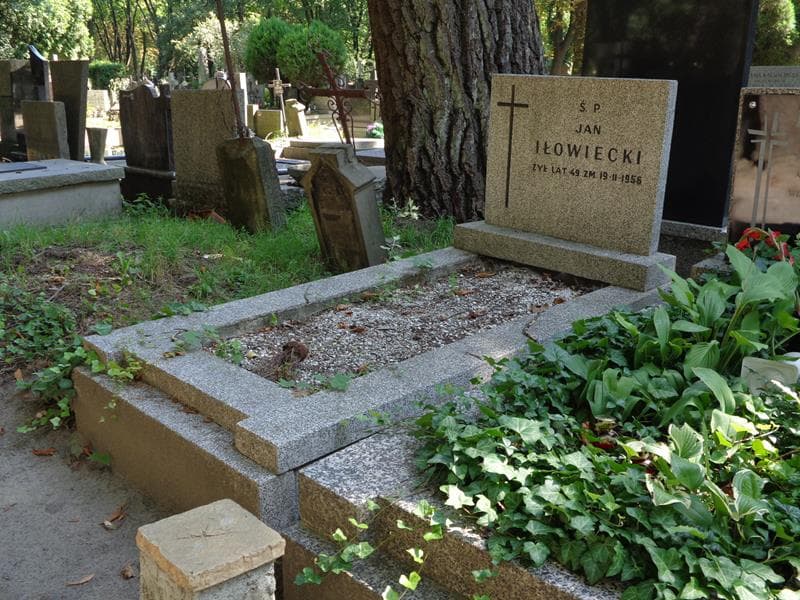 Zdjęcie grobu: Jan Iłowiecki