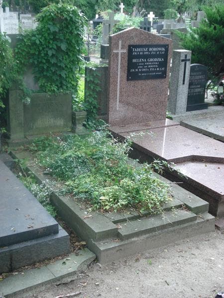Zdjęcie grobu Henryka Niemirska (1)