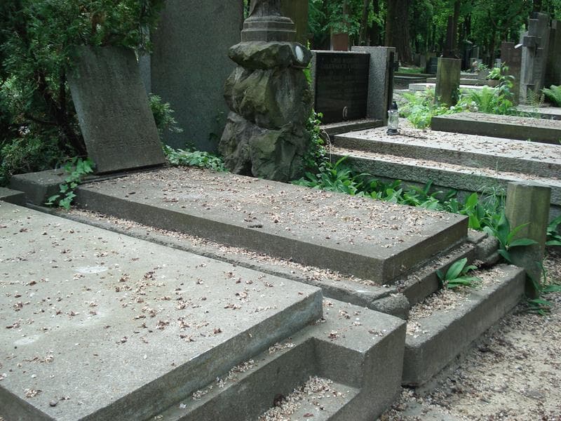 Zdjęcie grobu Stefania Kużmienko (1)
