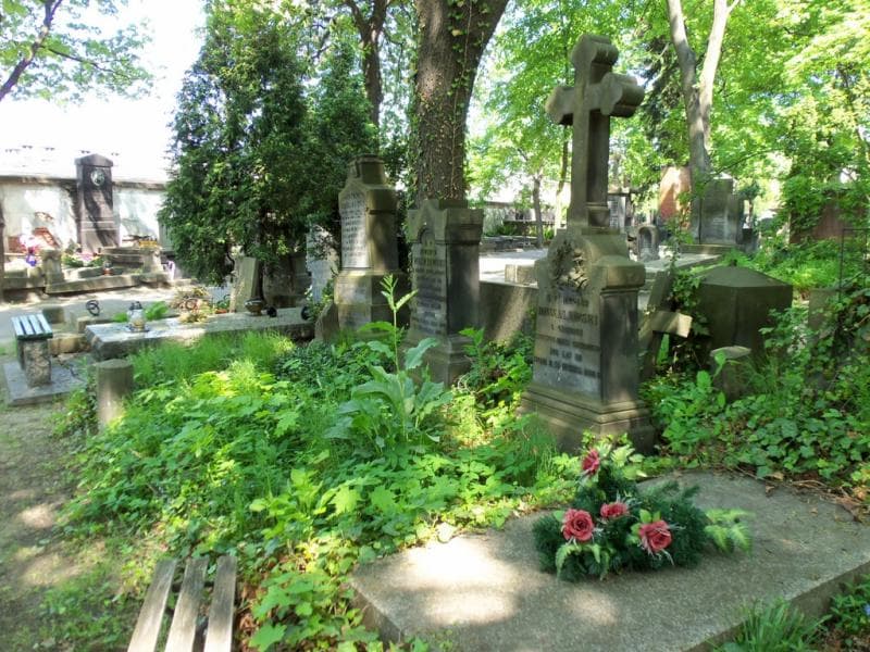 Zdjęcie grobu Leonard Drwalewski (1)