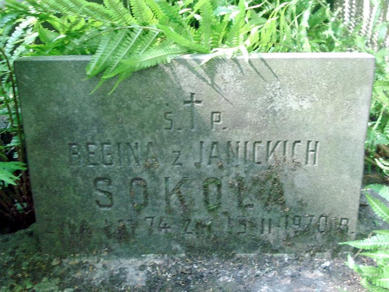 Zdjęcie grobu Józef Janicki (2)