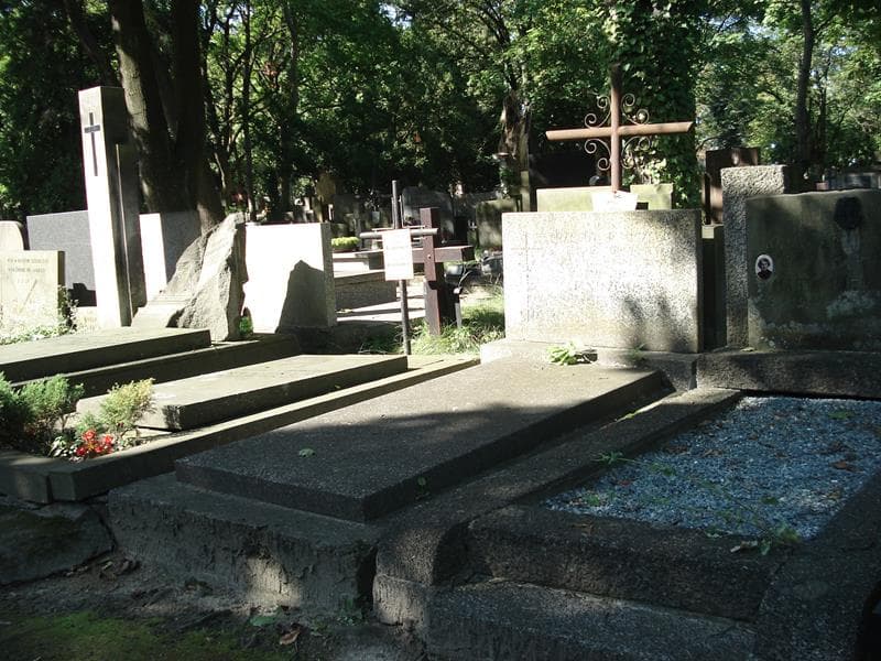 Zdjęcie grobu Ignacy Strzemię Janiszewski (1)
