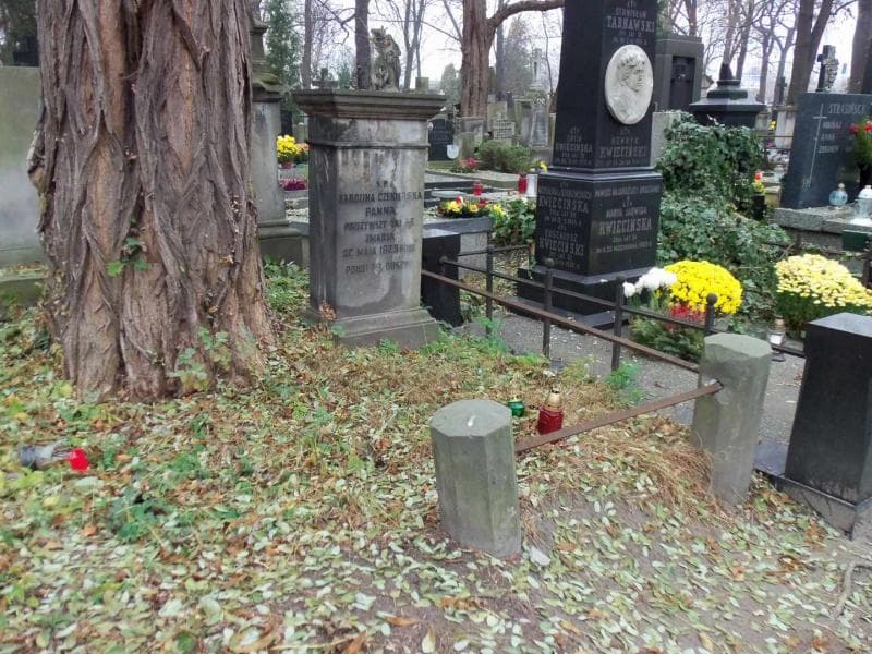Zdjęcie grobu Karolina Czekierska (1)
