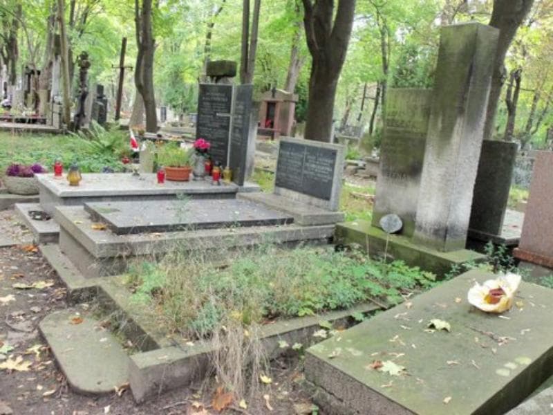 Zdjęcie grobu Jerzy Zelenay (1)