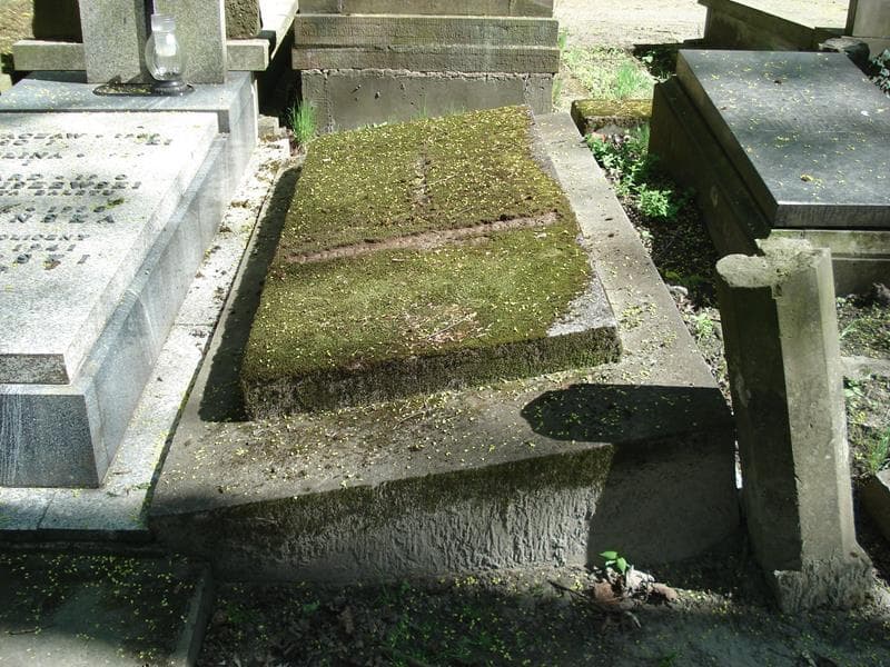 Zdjęcie grobu: Leonia Taczanowska