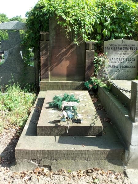 Zdjęcie grobu: Franciszek Żyliński