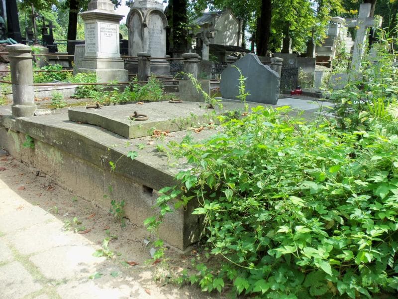 Zdjęcie grobu Anna Krzymuska (1)