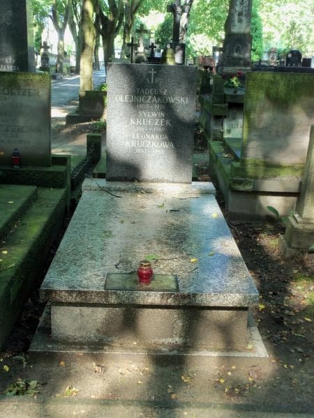 Zdjęcie grobu: Tadeusz Olejniczakowski