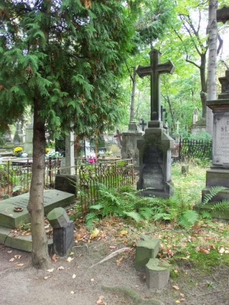 Zdjęcie grobu: Władysław Czacki