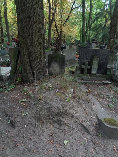 Zdjęcie grobu Teofila Bożyk (1)