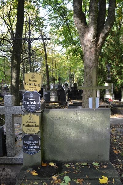 Zdjęcie grobu Anna Tańska (2)