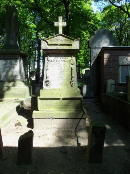 Zdjęcie grobu: Nepomucena Krzyżanowska