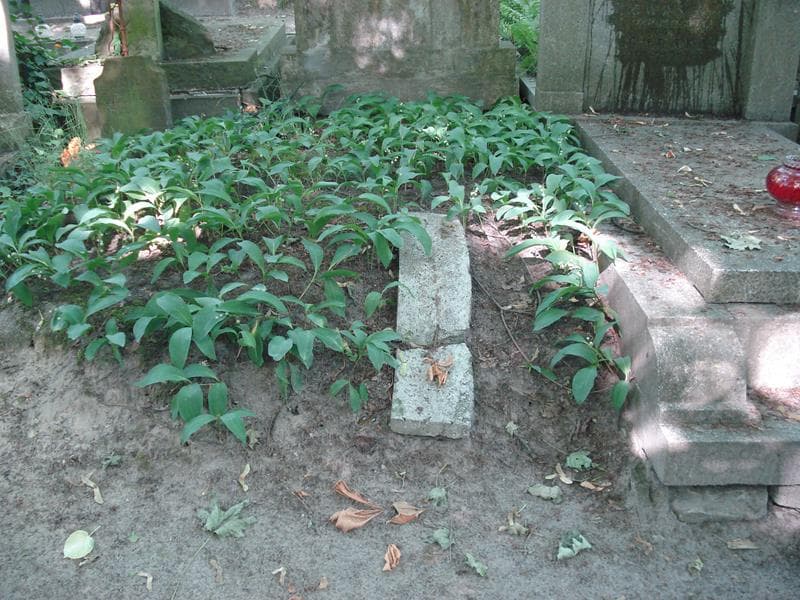 Zdjęcie grobu: Pole Grobowe