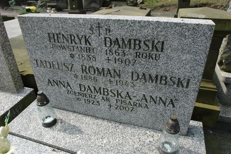Zdjęcie grobu Tadeusz Roman Dambski (1)