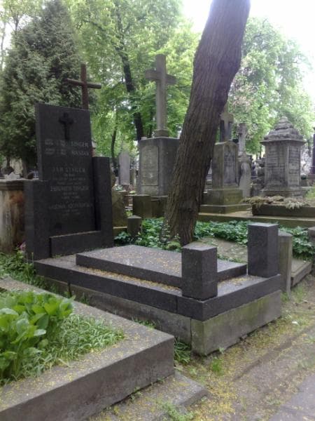 Zdjęcie grobu Eugenia Szczytowska (1)