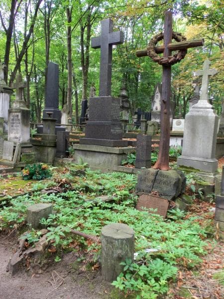 Zdjęcie grobu Emilja Lucyna Bąkowska (2)