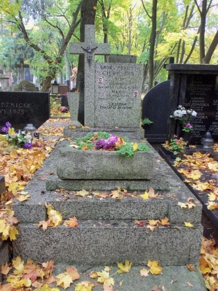 Zdjęcie grobu: Lilianna Cichosz